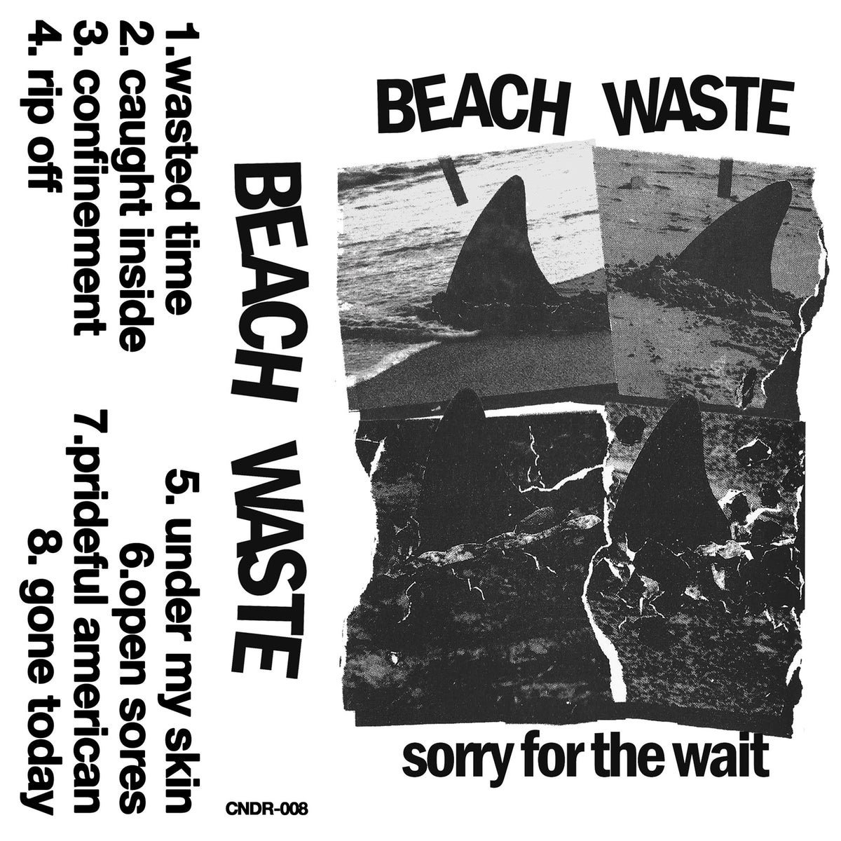 Beach Waste- Sorry For the Wait NEW Cassette